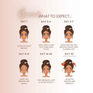 Microblading Stages, Healing Stages